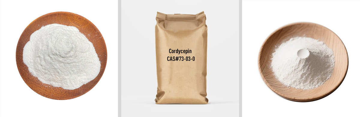 Cordycepin, numéro CAS : 73-03-0
