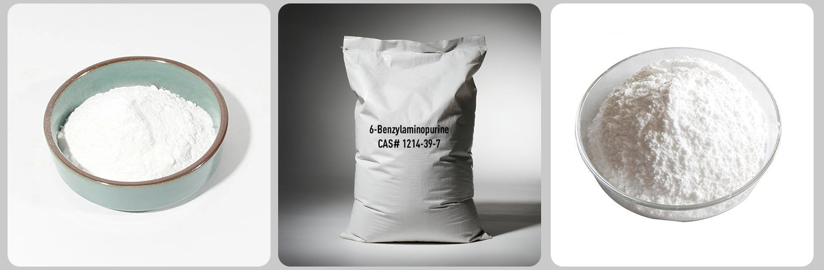 6-Benzylaminopurine CAS# 1214-39-7