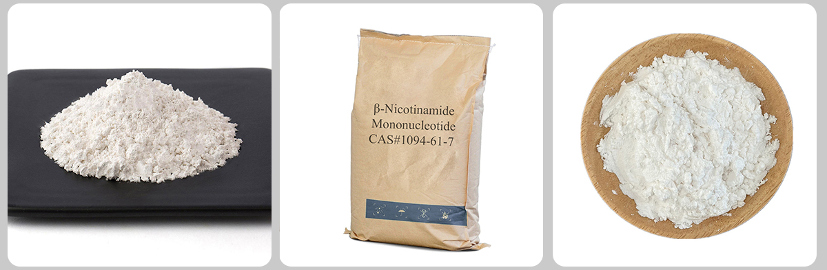 Mononucléotide β-nicotinamide n° 1094-61-7 Mononucléotide β-nicotinamide n° 1094-61-7