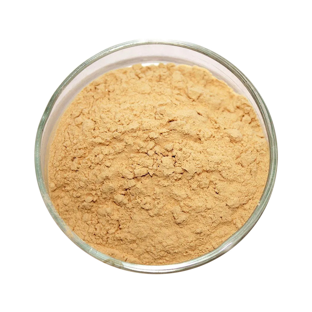 Ginsenoside Rb1 CAS # 41753-43-9