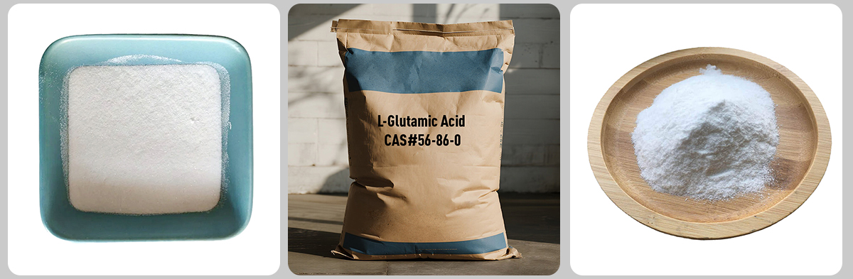 L-Glutamic Acid#56-86-0 