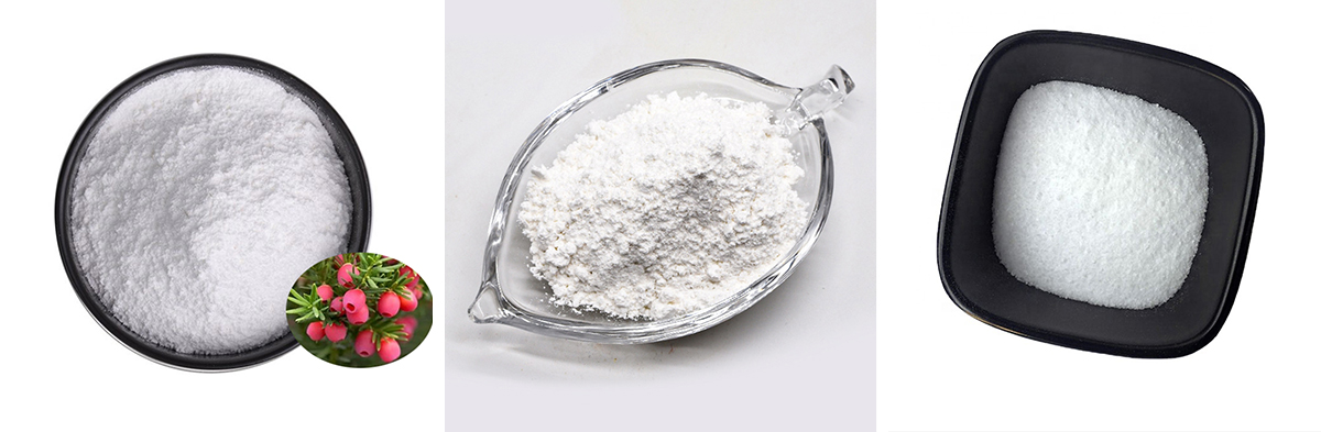 Paclitaxel CAS №33069-62-4