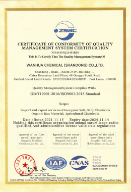 Wanhua Chemical (S Winter) Co., Ltd