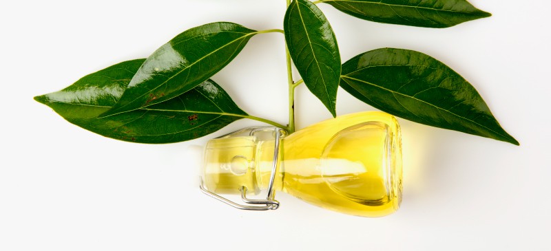 Camphor Oil CAS#8008-51-3 Camphor Oil CAS#8008-51-3