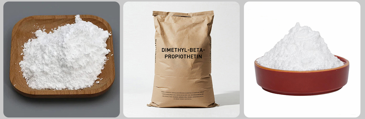 DMPT CAS # 4337-33-1