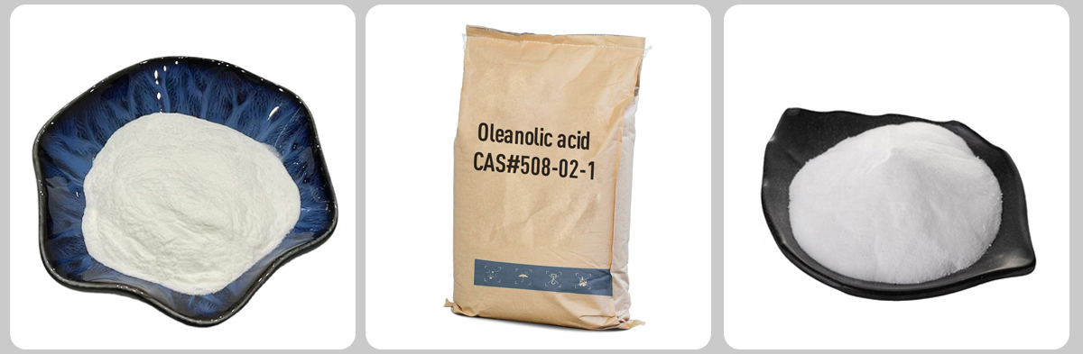 Acide oléanolique CAS#508-02-1