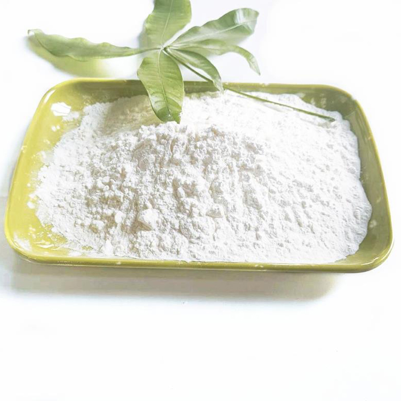 Lipaza CAS # 9001-62-1