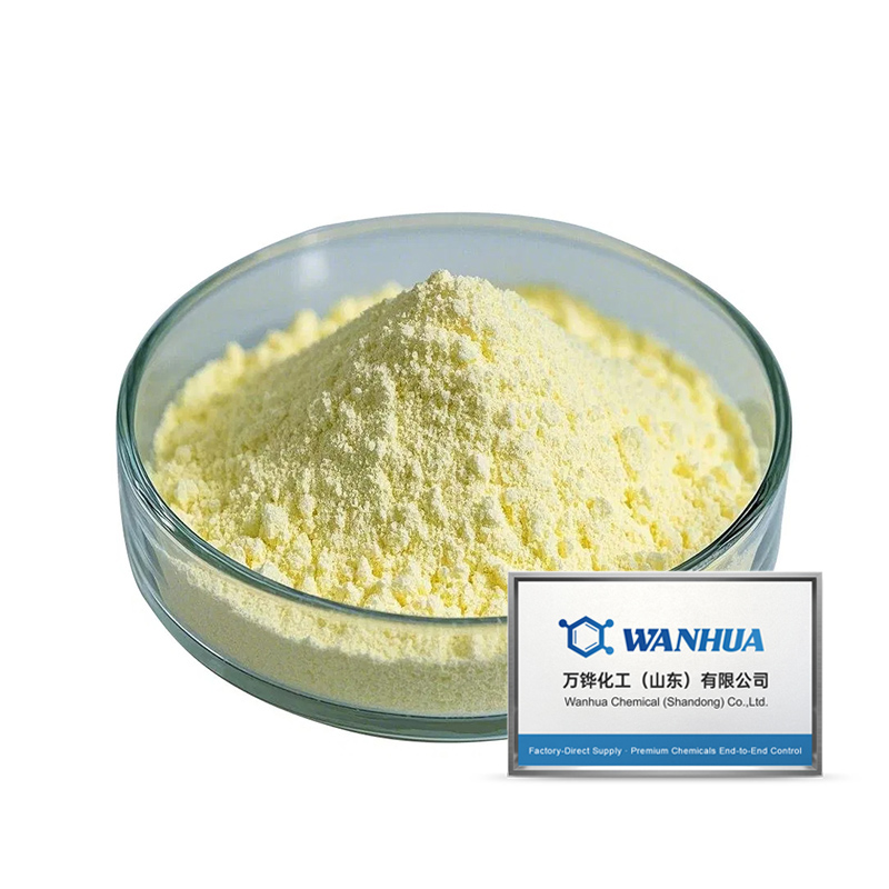 2-Aminoquinoline CAS#580-22-3