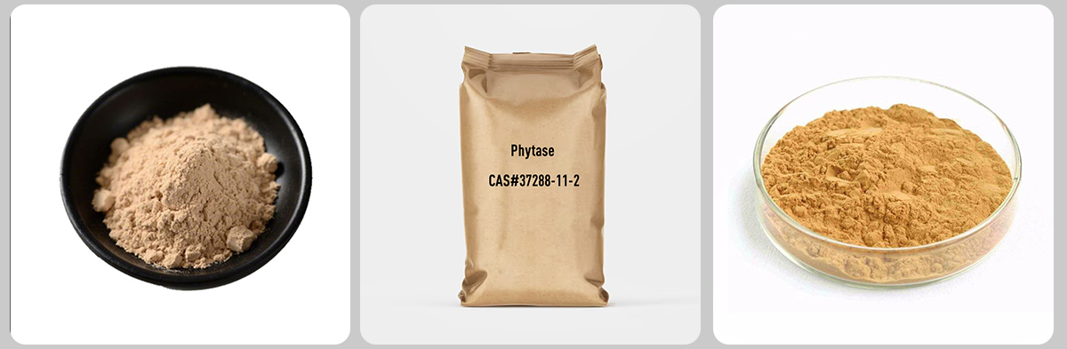 Фитаза CAS №37288-11-2