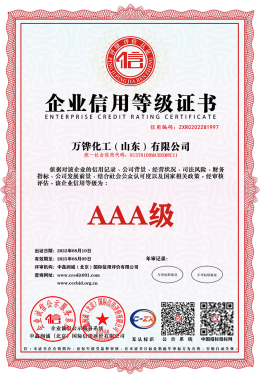 Wanhua Chemical (S Winter) Co., Ltd