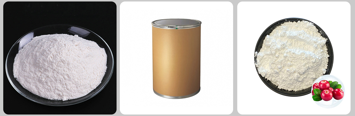 Arbutine CAS#497-76-7 Arbutine CAS#497-76-7