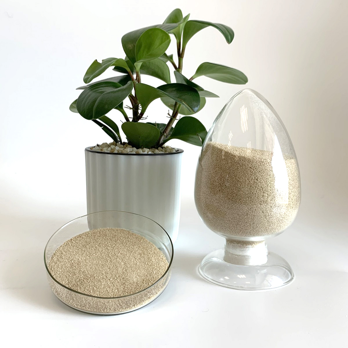 Sodium alginate CAS#9005-38-3 Sodium alginate CAS#9005-38-3