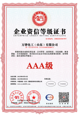 Wanhua Chemical (S Winter) Co., Ltd