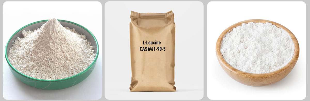 L-Leucina#61-90-5 L-Leucina#61-90-5