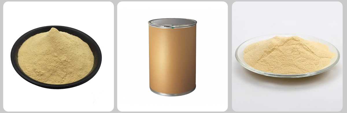 Ашытқы сығындысы CAS № 8013-01-2