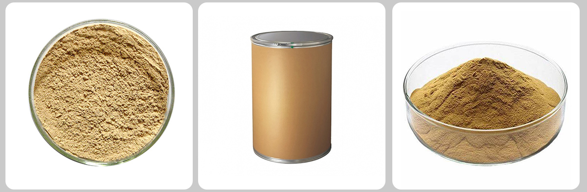 Acido clorogenico CAS#327-97-9